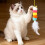 Light weight Durability Electric Cats Teaser Fun Automatic-1 3