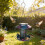Sun Powered Hanging Bird Feeder With Colorful Pattern For 2