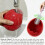 Slow Feeding Animal Product With Rolling Function Stimulates 5