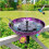 Artistic Iron Bird Bath Featuring Spacious Bowl Perfect For 2