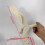 Spine Posture Trainer with Visible Vertebrae Motion, Ergonomic Lifting Technique Demonstration Model 3