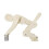 Spine Posture Trainer with Visible Vertebrae Motion, Ergonomic Lifting Technique Demonstration Model 5