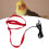 Red XL Bird Leash, Bite Resistant Nylon, Adjustable Parrot Rope 3