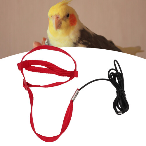 Red XL Bird Leash, Bite Resistant Nylon, Adjustable Parrot Rope 2