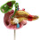 Anatomical Model Pancreas Duodenum Spleen with Pathology Visualization for Medical Anatomy Teaching 5