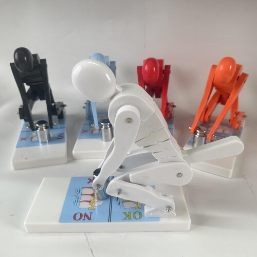 Lumbar Spine Model for Weightlifting Force Demonstration, Flexible Joints, Durable Multi‑Color Training Tool 1