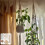 Macrame Wall Hanging Kit for Beginners - DIY Macrame Supplies with Natural Cotton Rope 5