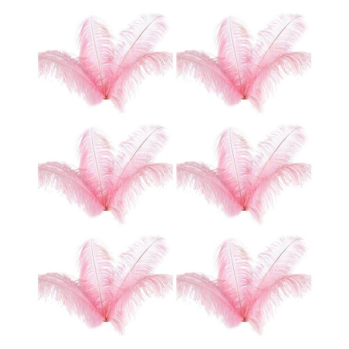 30 Pcs Natural Ostrich Feathers Wedding Party Decoration  20-25cm