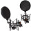 2X Professional Microphone Mic Shock Mount with Shield Articulating  Holder Stand Bracket for Studio Broadcast 10