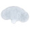 24 Pcs Cappuccino Coffee White Stencils Template Strew Flowers Pad Duster Spray 2