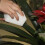 20Pieces Magic Sponge Eraser Kitchen Duster Car Wipes Home Clean Accessory/Microfiber Dish Cleaning Sponge  10X6X2cm 4