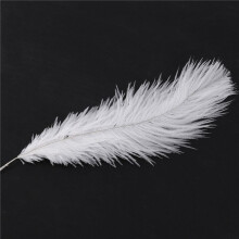 100 Pieces White Natural Ostrich Feather 20-25cm Wedding DIY