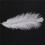 100 Pieces White Natural Ostrich Feather 20-25cm Wedding DIY 5