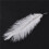 100 Pieces White Natural Ostrich Feather 20-25cm Wedding DIY 6
