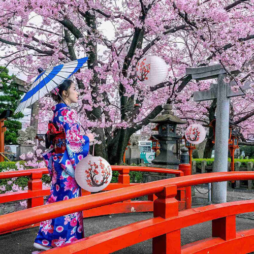 18 Pacote de 12 Polegadas Flores de Cerejeira Vermelha Lanterna de Papel Branco Redondo ChinêS Lâmpada de Papel JaponêS