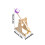 STEM Learning Kit with Adjustable Launch Angle Catapult for HandsOn Physics Classroom Activities 2