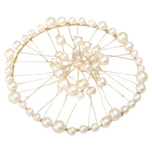 Nail Art Display Pearl Shell Dish Showing Shelf Board Net Shape Nail Jewelry Training Photo Props Tray Manicure Tools