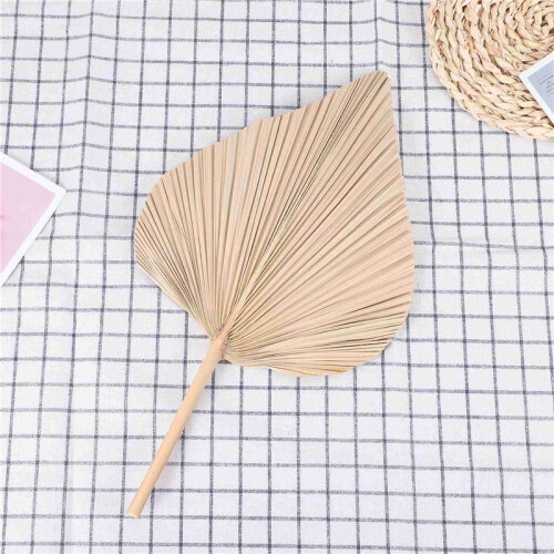 Folhas de Palmeira Secas para DecoraçãO de Quarto 30 PeçAs - 18 Polegadas H X 10 Polegadas W  DecoraçãO Natural em Folha de Palmeira para um 1