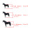 Absorption des chocs équitation jambe garde-pattes avant M 4