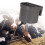 Polypropylene Calfs Milk Bucket Ergonomic Handle For Efficient 2