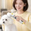 Powerful Pet Hair Removers With Comb For Efficient Grooming-1 2