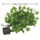 Solar-Powered Artificial Ivy Green Vine with 50 Lights 2