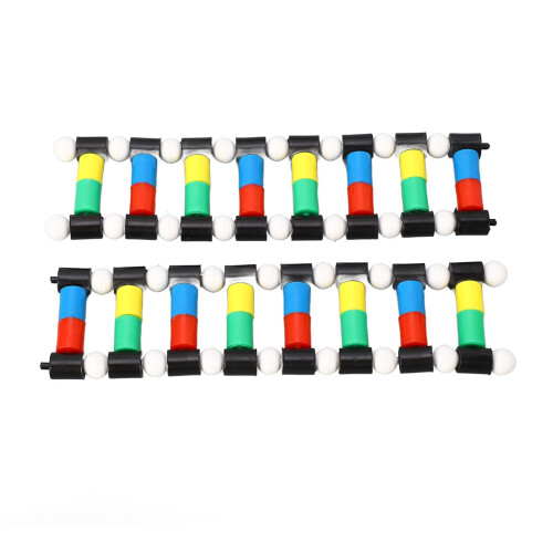 DNA Model Kit with Interactive Color Coding, PVC Double Helix Structure for Classroom Teaching