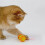 Rechargeable Cat Toys Automatic Obstacle Avoidance Interactive Toys for Cat Intelligent Design Cat Accessories 4