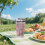 Bicchiere di Plastica Rosa da 450 Ml, Trasparente, con Cannuccia e Coperchio, per Bevande al Latte e al Caffè, per Casa e Viaggio 6