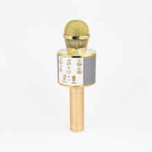 Wireless Bluetooth Karaoke Microphone Gold with Clear Vocal Pickup for Singing and Parties