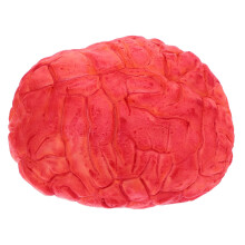 Halloween Brain Prop Realistic Textured Fake Organ Decoration for Haunted House or Party Display