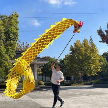 8m Yellow Dragon Dance Streamer with 3D Head for Outdoor Flow Arts Poi and Park Beach Performances