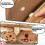 Large Capacity Pencil Case with Cute Capybara Design, Durable MultiPocket Stationery Organizer for School 5