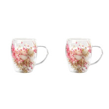 2X Creatives Real Flower Double Glass High Appearance Level Full Star Dried Flower Milk Coffee Glass 350ml Cup A