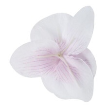 Lot 80pcs 9cm Schmetterling Orchidee Blume Kunstblume Kopf Dekor für Hochzeit Haarspange Zubehör