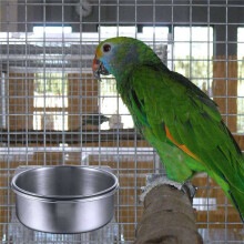 12-Piece Bird Feeder Cup Stainless Steel Feeder Cup Animal Cage Water Food Bowl S
