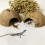 New Reptile Hide  Natural Coconut Shell Lizard Spider Small Animal Cave House 4