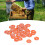 Beekeeping Supplies 50 Pcs Rounded Numbered Labels for Beehive Tagging Orange 15