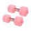 2 Water Dumbbells for Low Impact Workouts 3