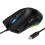 2X USB C Mouse Type C Ergonomic Wired Mouse RGB Gaming Mouse Optical Mouse 3