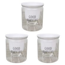 3X Self-Watering Flowerpot Automatic Water Absorption Succulent Aquaculture Transparent Round Plastic Hydroponic