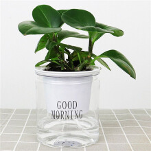 3X Self-Watering Flowerpot Automatic Water Absorption Succulent Aquaculture Transparent Round Plastic Hydroponic