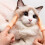 20X Tiny Hands Finger  Finger Puppet  Finger Hands Miniature Small Hands Toy 8