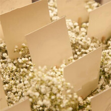 Dried Babys Breath Flowers, 90Pcs Baby Breath Flower, Dried Flowers for Crafts, Wedding Decor Boho