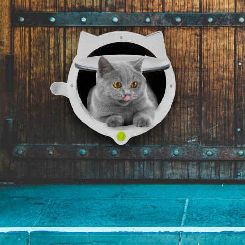 Premium Cat Door with Lock, Translucent Flap, Easy Install, Black or White 2