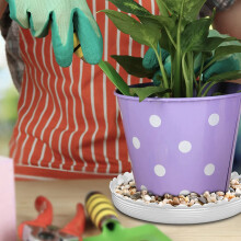 Plant Saucer 6Inch, 6 Pack Durable Plastic Plant Trays,Plant Water Catcher Tray,Flower Pot Saucer for Indoor and Outdoor