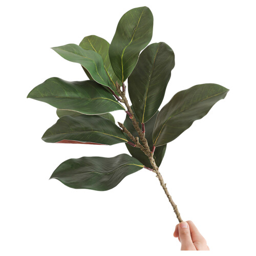 Simulation Magnolia Leaves with Realistic Bud Artificial-Green