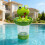 Pool Chlorine Floaters Frogs Spa Chlorine Floaters Large-Green 5