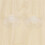 12 PCS 47mm Clear Plastic Wall Suction Cup Clip Clamp 3