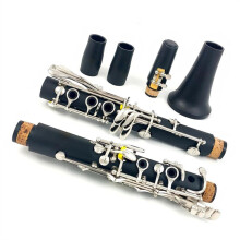Hard Rubber 17 Key Bb Clarinet Set with Case and Accessories for Beginners